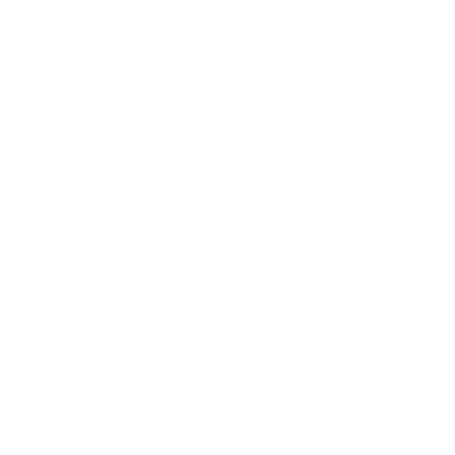 icona personale medico per trasporto con ambulanza privata