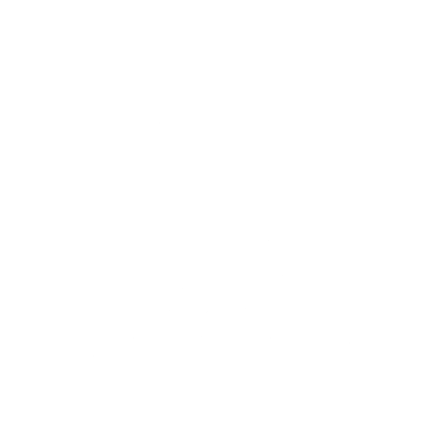 icona personale medico per trasporto con ambulanza privata